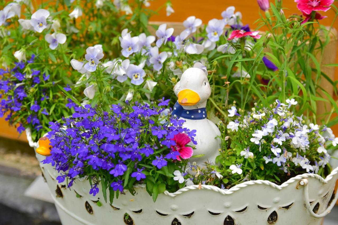 Wilcza Gajowka Villa ซอสนุฟกา ภายนอก รูปภาพ
