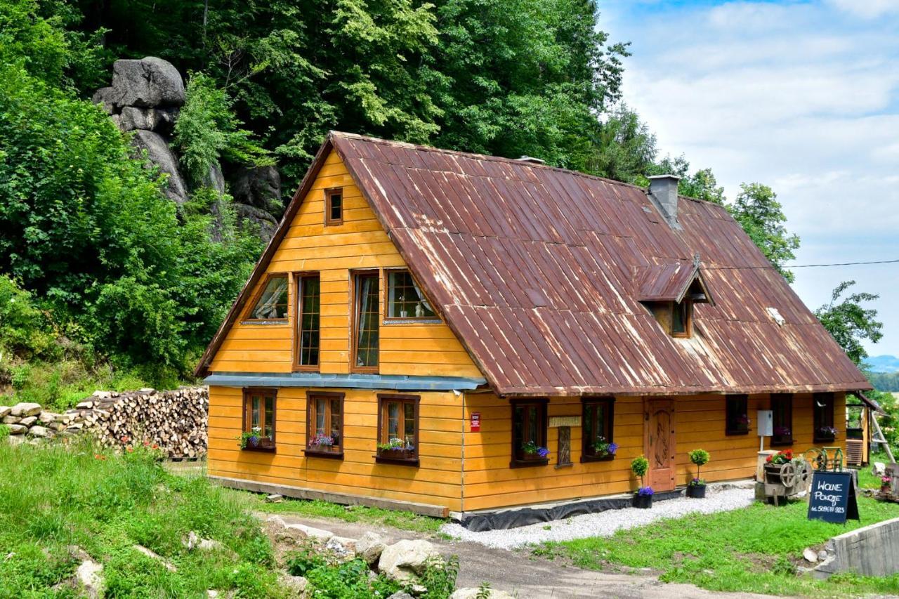 Wilcza Gajowka Villa ซอสนุฟกา ภายนอก รูปภาพ